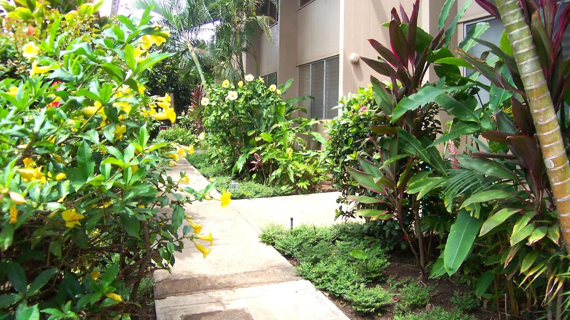 Pikake Unit A6 Apartment Lahaina