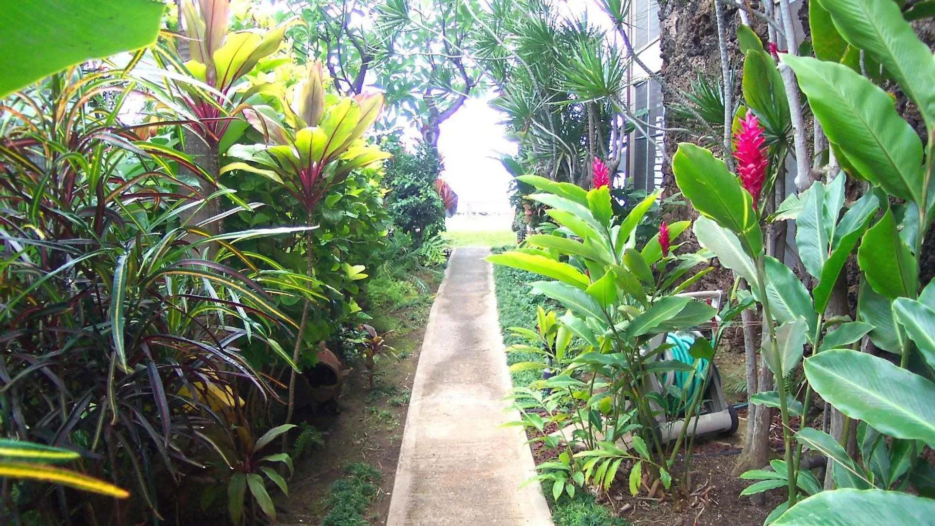 Pikake Unit A6 Apartment Lahaina United States